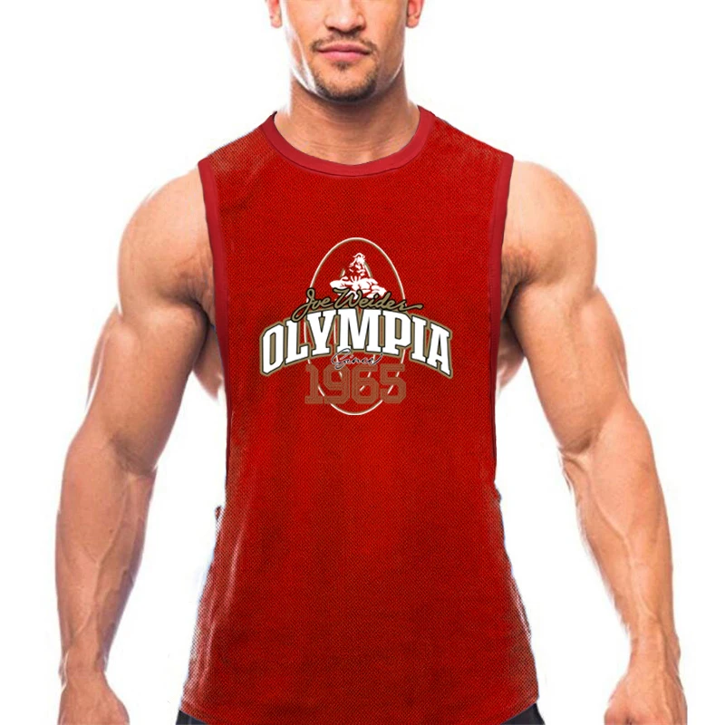 Summer Mesh Gym Tank Top Men Loose Quick Dry Fitness Sleeveless shirt Bodybuilding Workout Clothing O-Neck Sports Singlets