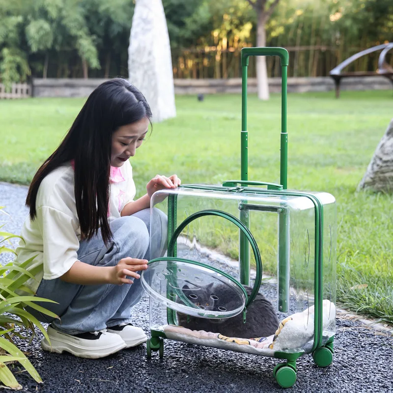 Versatile Outdoor Cat Carrier and Luggage with Transparent Design, Breathable Mesh, Multiple Pockets and Removable Wheels