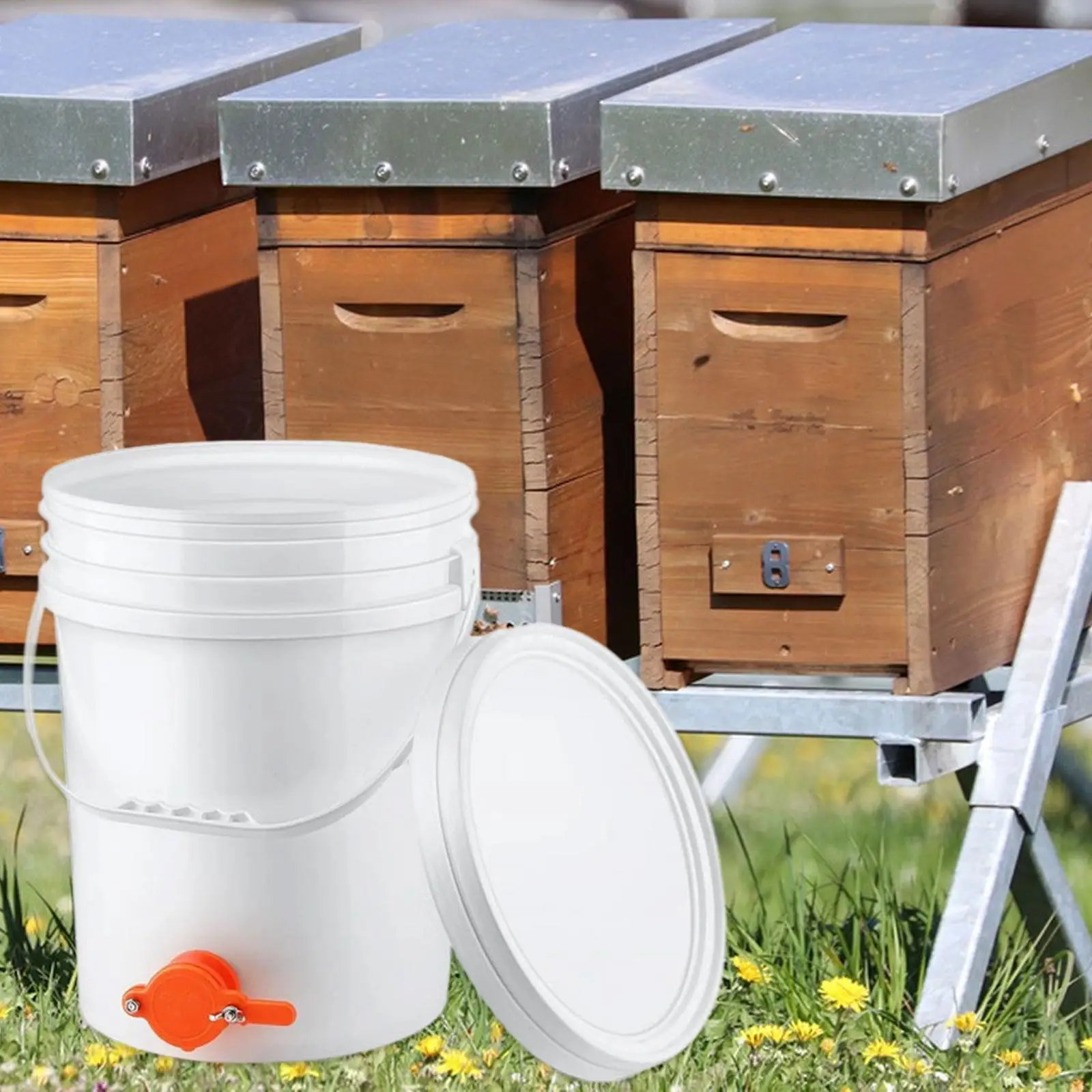 

Honey Pail 20 L Capacity Beekeeping Supplies Lightweight Honey Dispenser