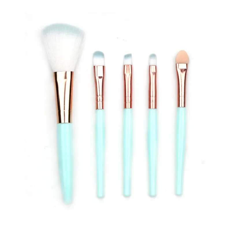 Pinceaux de maquillage bleus pour fard à joues en poudre, brosse anti-cernes pour nouvel utilisateur, pinceaux de mélange de maquillage, ensemble de 5 pièces