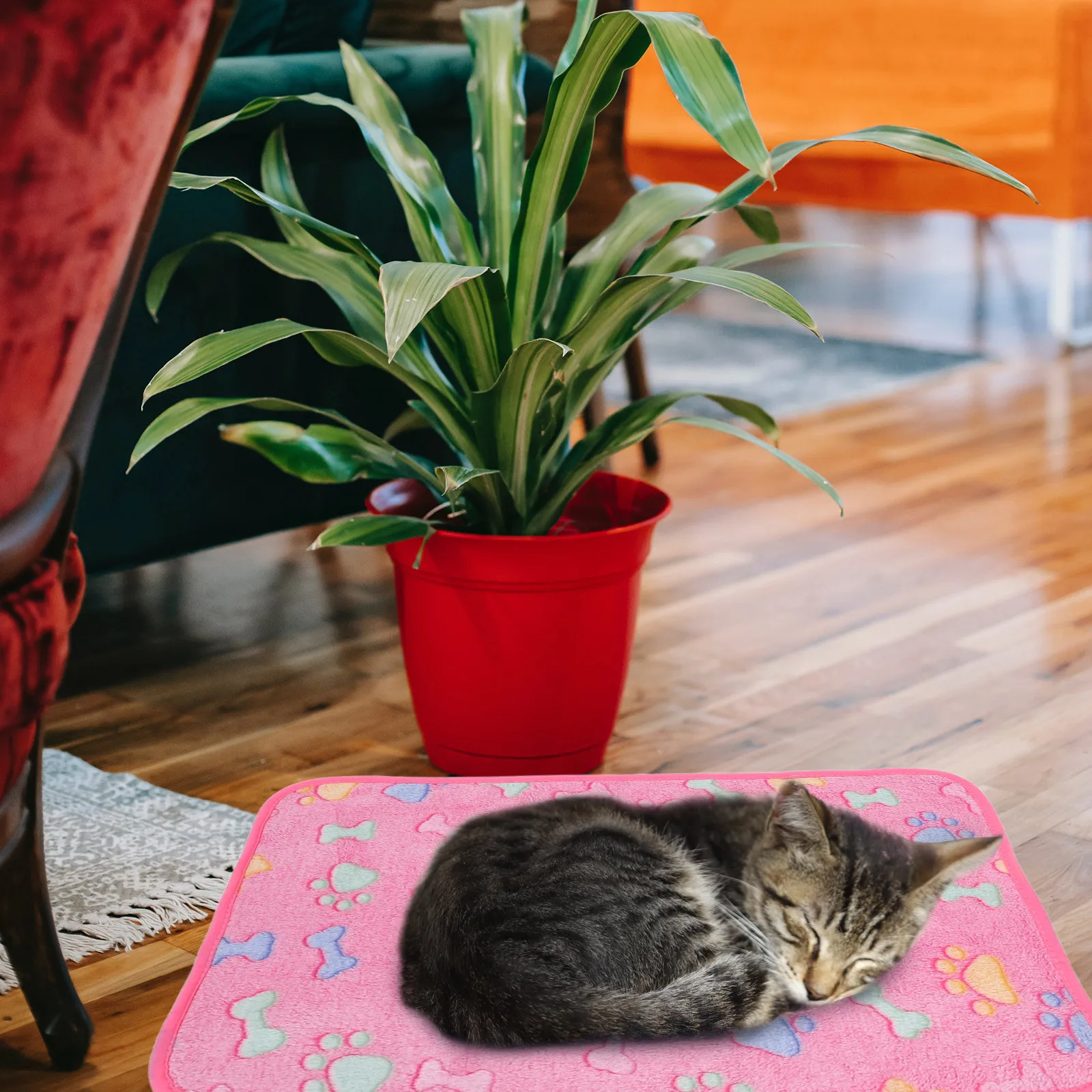 Couverture pour animaux de compagnie, 3 pièces, douce et chaude, lavable, pour chiens, chats, chiots, lits, tapis de voiture, accessoires, tapis de sommeil pour animaux de compagnie