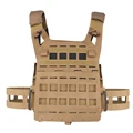 Coyote Brown