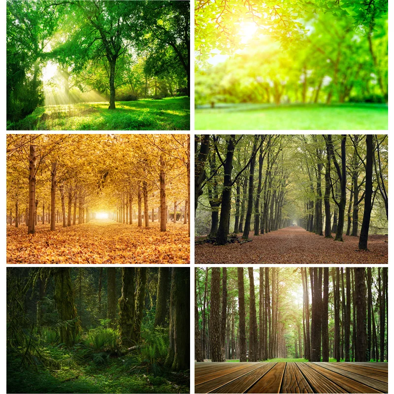 Green Forest Nature Scenery Photography Background Landscape Portrait Photo Backdrops Studio Props 21102 KKL-02