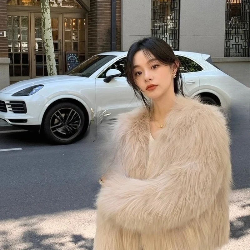 Autumn and Winter Fur Women's Short New Imitation Fox Hair New Internet Celebrity Young Korean Version Winter Hair Short Coat