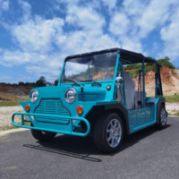 4 persons Color Optional New Energy 96V 10KW Lithium Battery Mini Moke Body Shell Electric Mini Moke Car