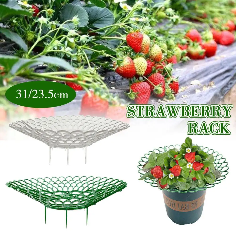 

10pcs Strawberry Supports Keeping Plant Fruit Stand Vegetable Growing Rack Garden Tools For Protecting Vines Avoid Ground E2i2