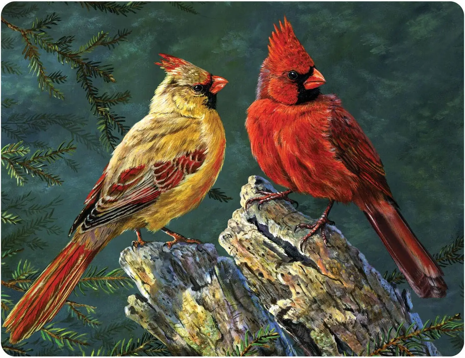 1p,Metal Tin Sign Vintage Art Decoration Cardinal for Cofe Home Kitchen Farm Office Bar Restaurant Dorm Club or Garage
