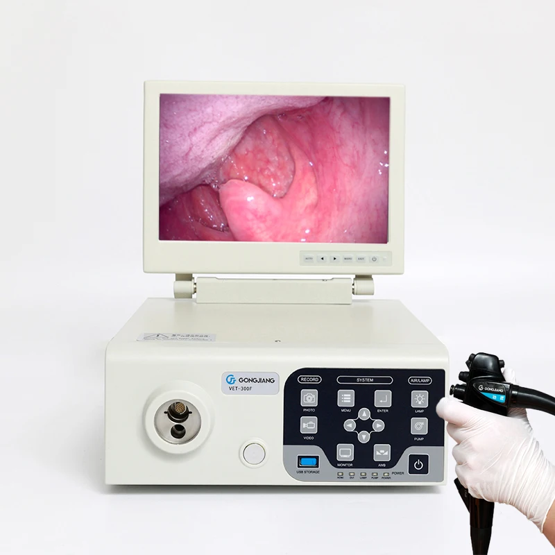 Best selling all-in-one HD display portable veterinary endoscope colonoscopy set