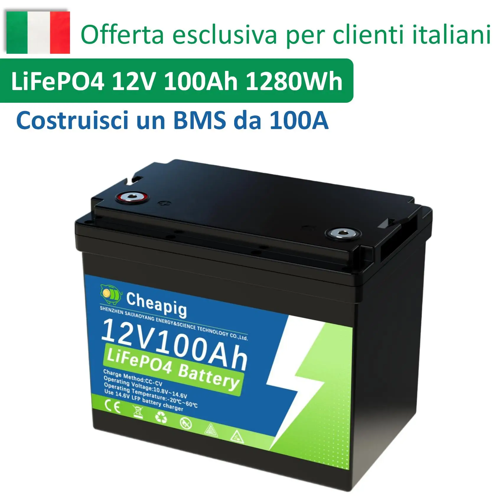 Magazzino Italia Batteria al Litio LiFePO4 12V 24V 100Ah con BMS 100A, 1280Wh 2560Wh Sistema Solare per Energia Domestica
