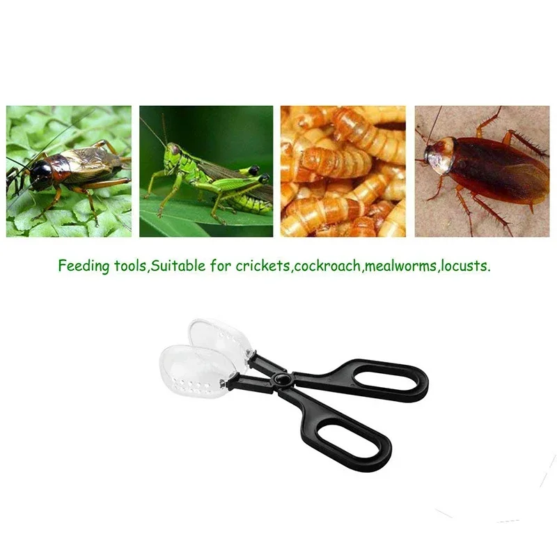 NOMO Reptile Transparent Clip Cleaning Tool Lizards Spider Reptile Bread Worms Insect Plastic Tongs Pet Raising Feeding Supplies