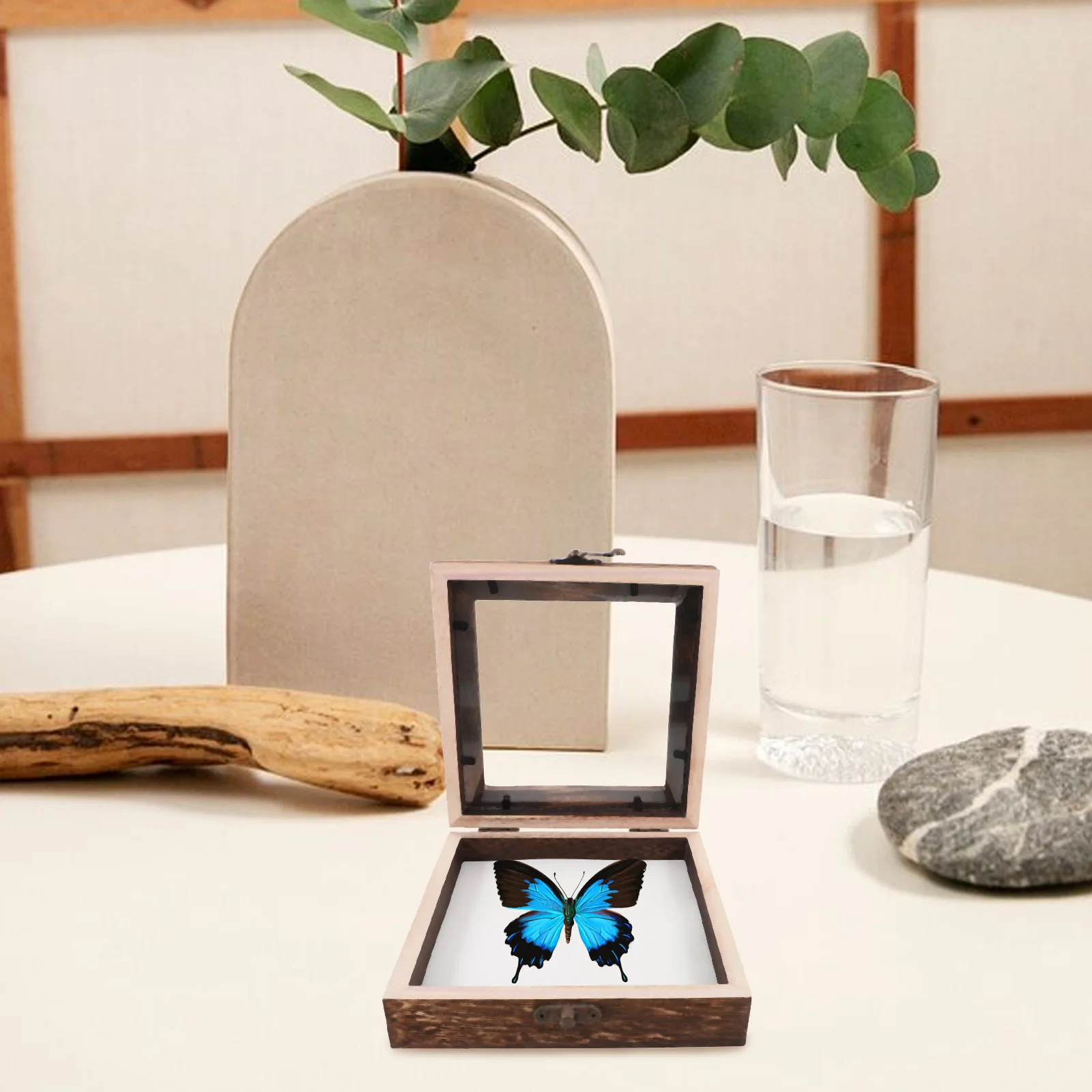

Wood Butterfly Display Case Shadow Box Eva Padding Protection Versatile Dimensions Stabilization Kit Elegant Specimen