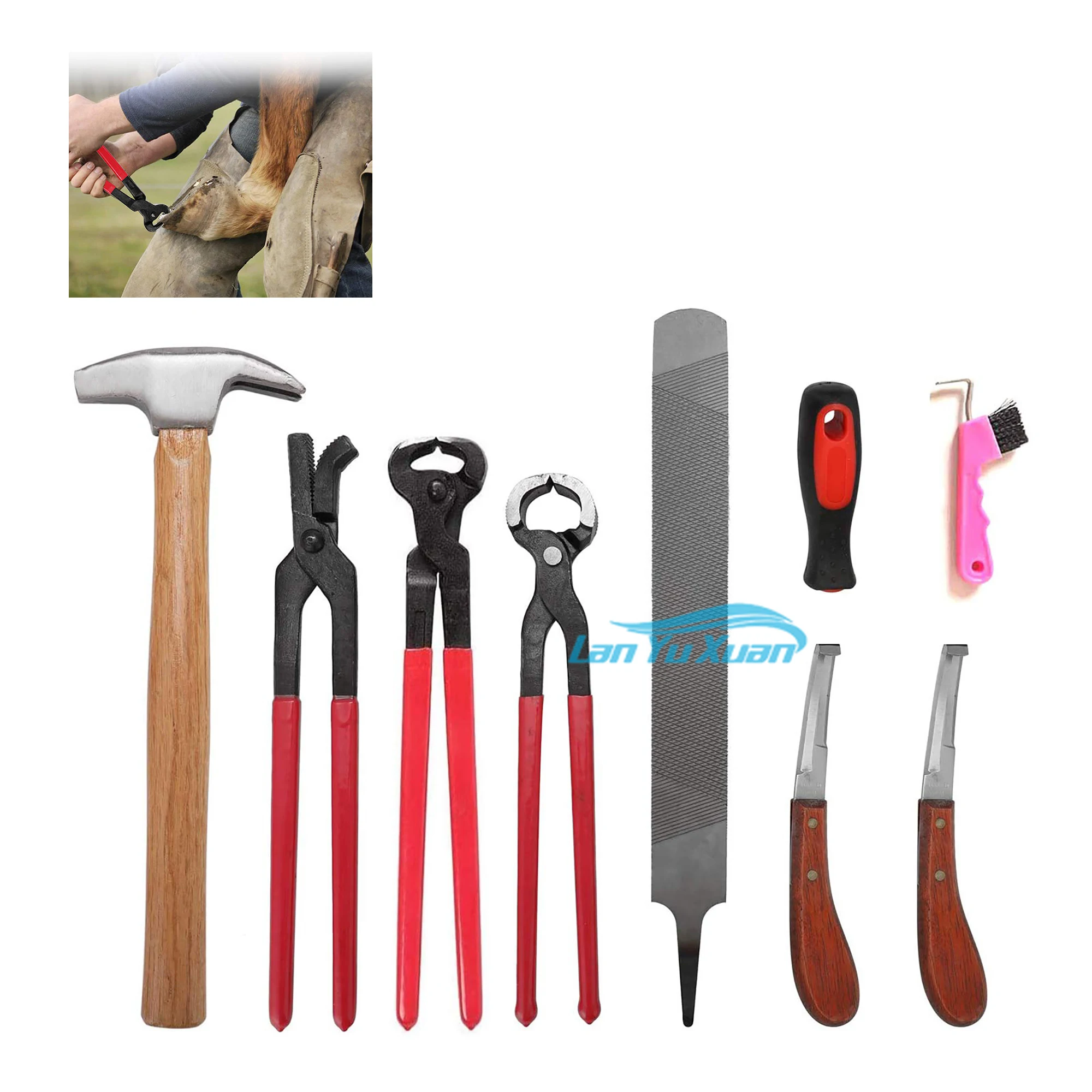 Horse Farrier Tools Kit Of Professional s  Custom Made    