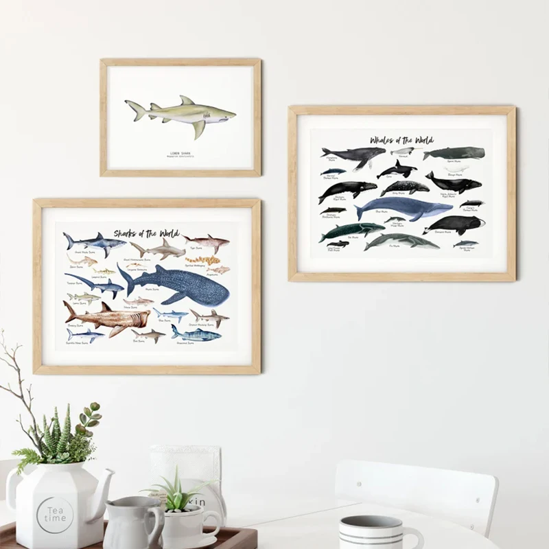 Whale/Shark/Turtles of the World Marine Life Ocean Animals Guide Cartoon Poster Canvas Painting Wall Art Pictures Home Decor