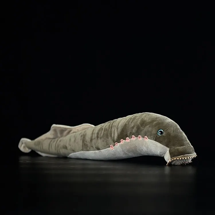 Petromyzontiformes,lamprey ,Petromyzon marinus, Sea lamprey Knickknack,nicknack,Small ornaments and miniature models