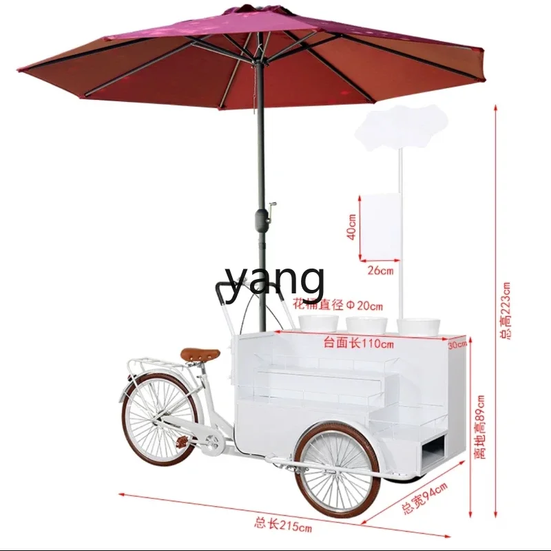 

LH Internet celebrity outdoor riding float creative display promotion desk sales commercial exhibition decorative car