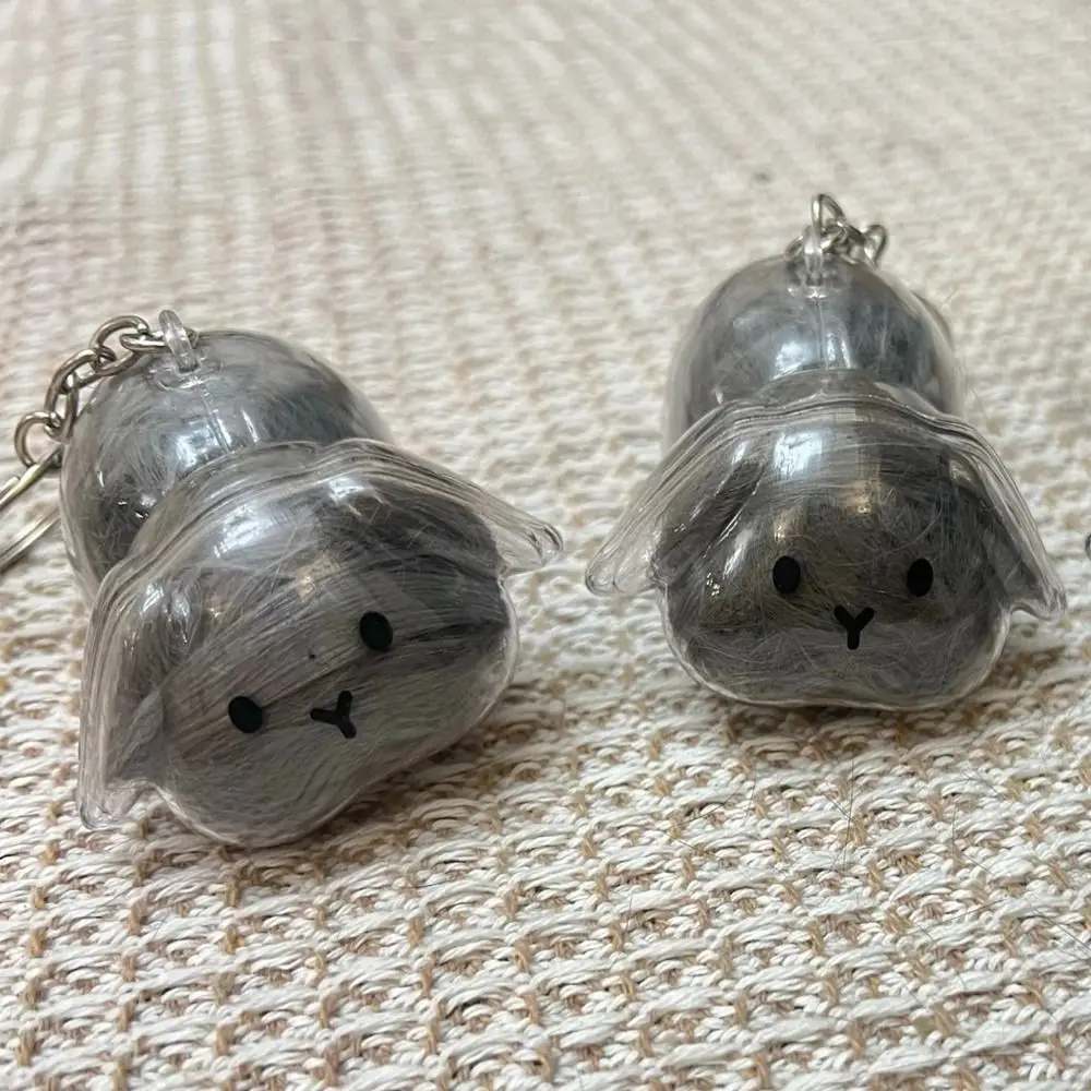 Transparent Pet Hair Storage Keychain Keyrings Memorial Organizer Pendant Rabbit Hair Collector Animal Hair Container