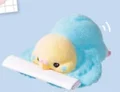 Budgerigar