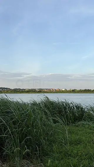 

MATEK SERVO PDB с BEC 5.5-36В на 5-8.2В, модуль питания BEC, плата распределения питания для сервоприводов 5В/6В/7.2В/8.2В для FPV RC дронов