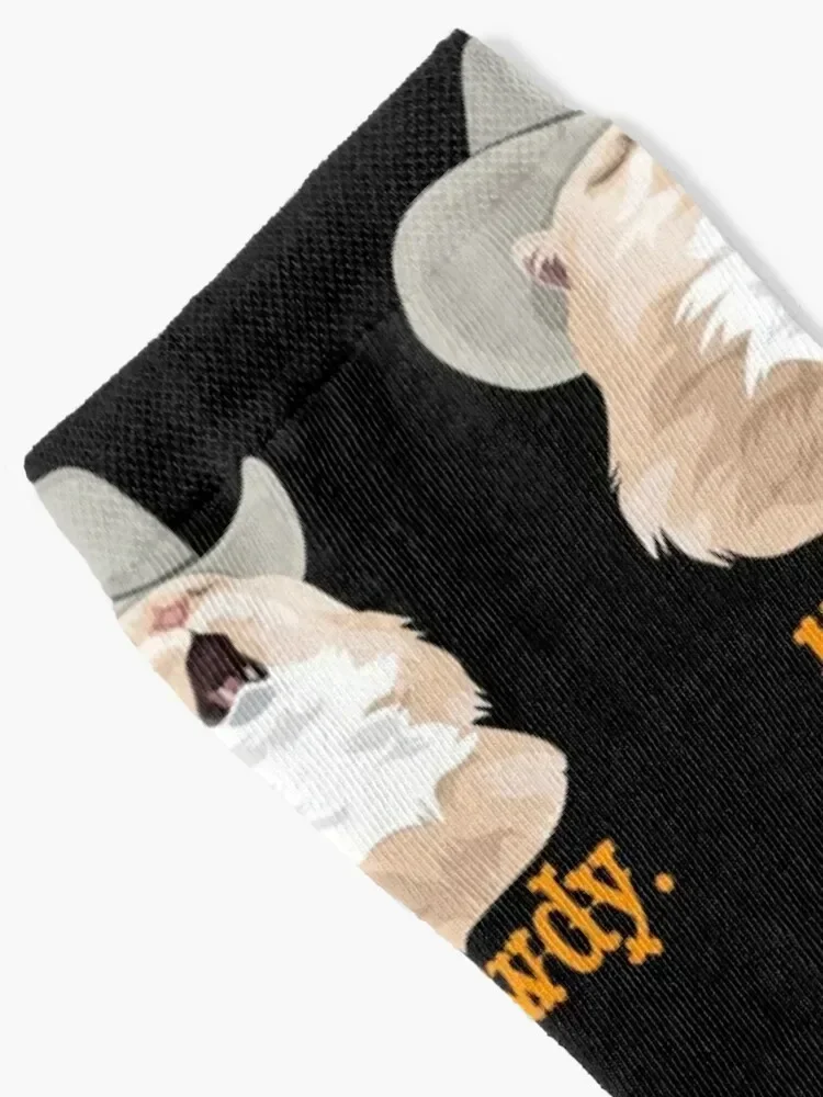 Meowdy Singing Cat Wearing a Cowboy Hat Meme Socks Rugby japanese fashion sports stockings man Socks For Girls Men's