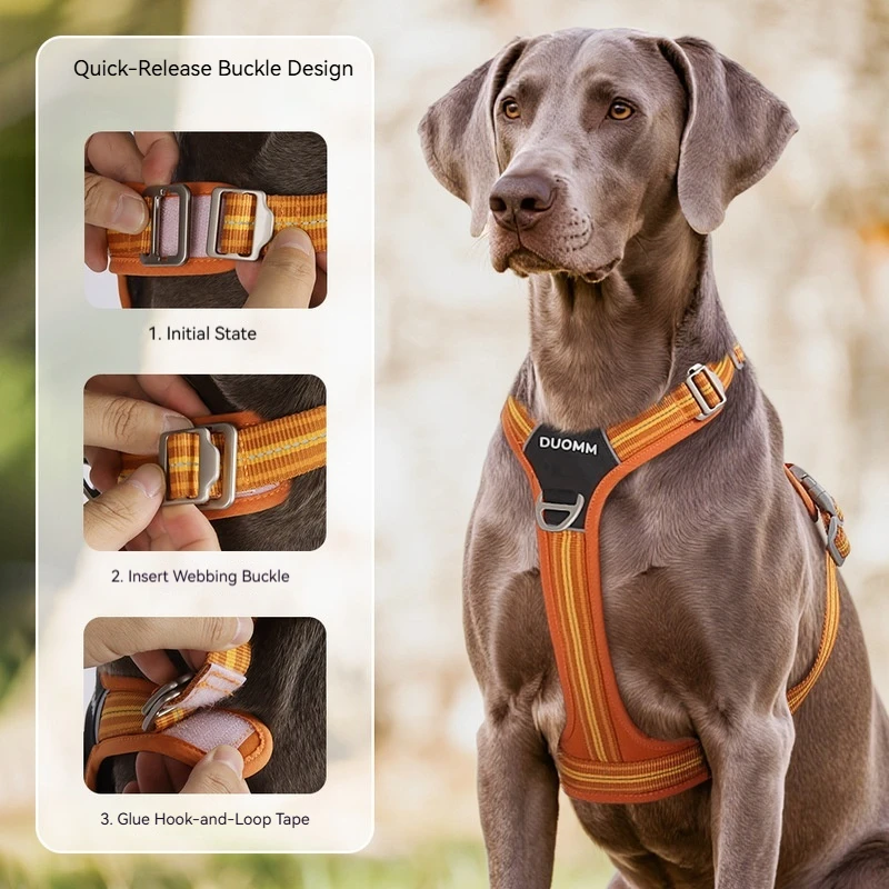 Thumbnail 2 - #33 Pet Harnesses List of Top Picks