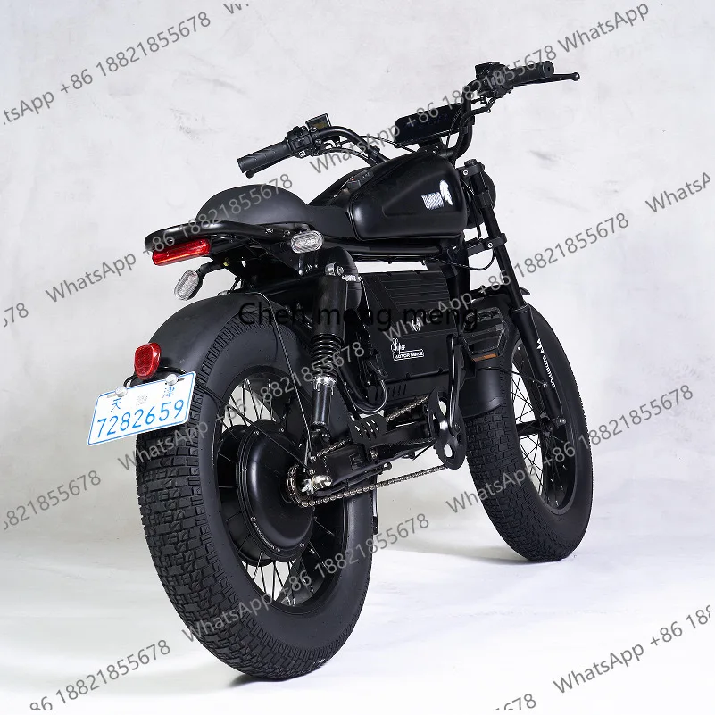 Fashion Customized Diversiform Aluminum Alloy Frame 1500w 48v High Ebike Fat Tire Ebike Bicycles Electric Bike