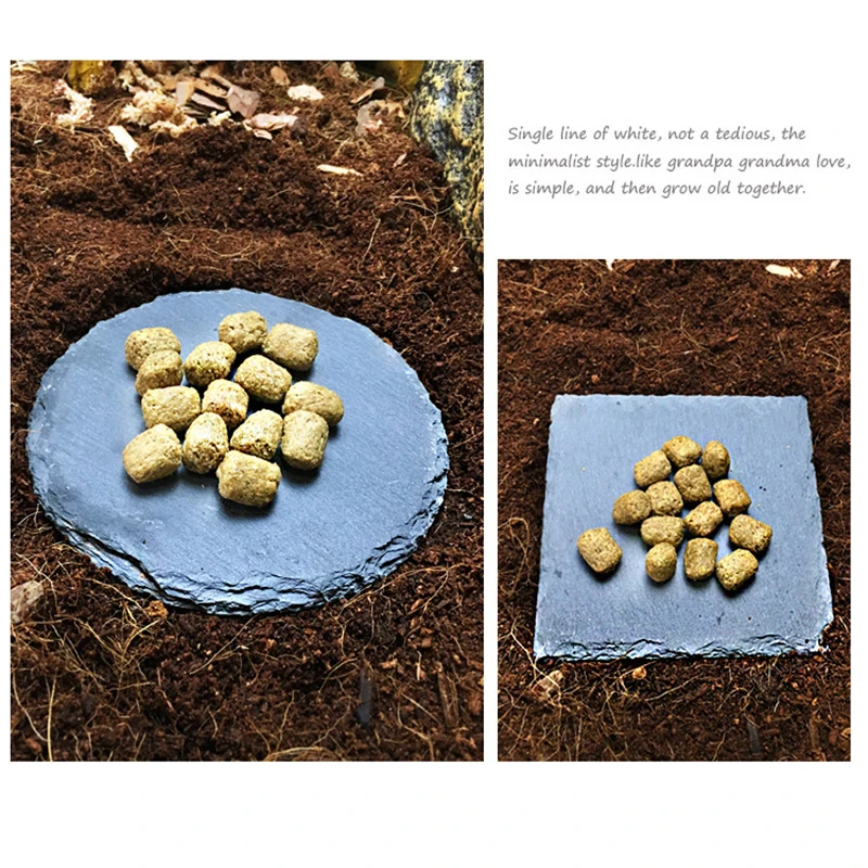 Tortoise Slab Mat Natural Rock Food Bowl Plate Climb Pet Reptile Box Original Ecological Aquarium Landscaping terrace Rest New