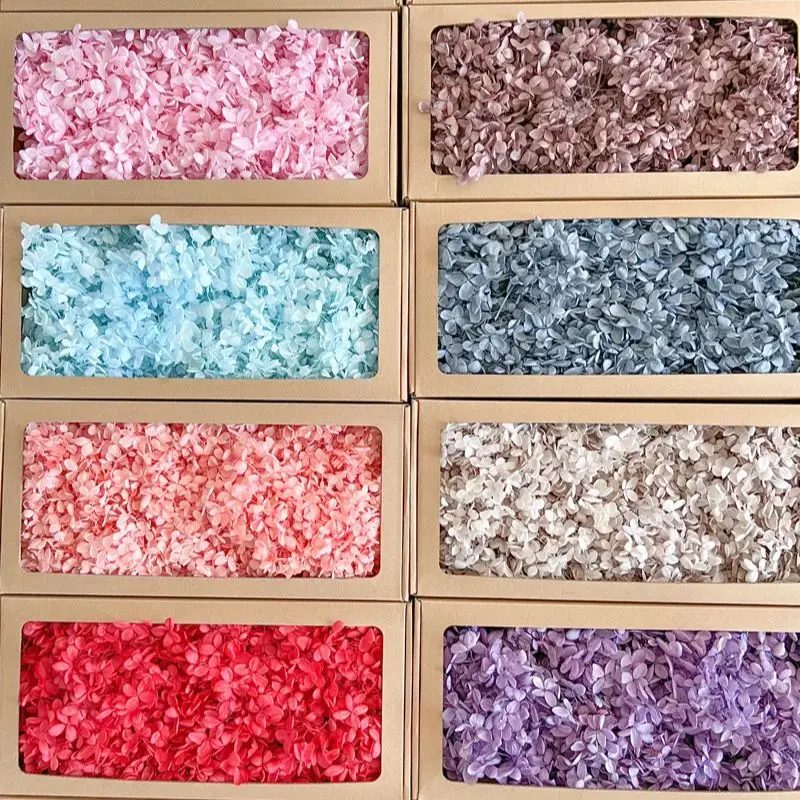 Thumbnail 2 - #8 Trending Dried Flowers Right Now