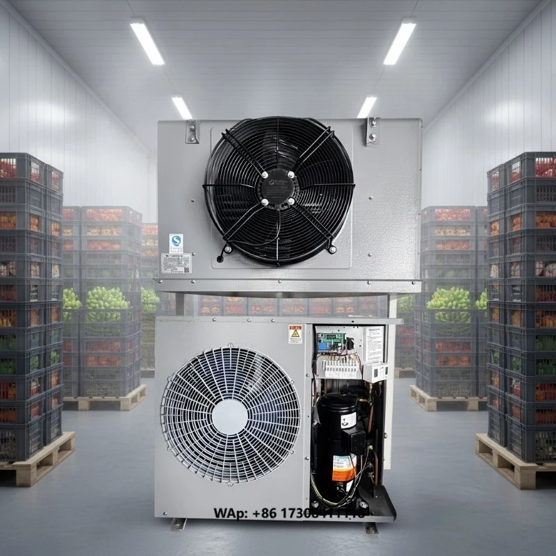 Wall-mounted Dual-fan Fruit Cold Storage air Cooler, High-efficiency Refrigeration, Special air Cooler for Cold Storage