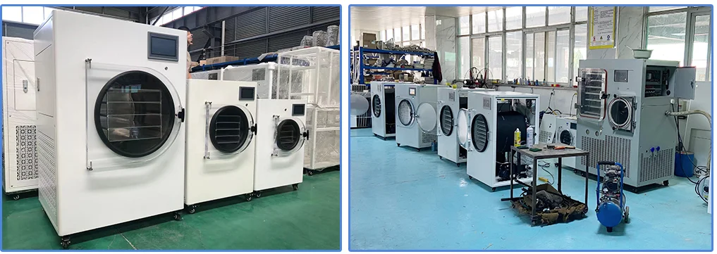 Fast Delivery Mini Food Vacuum Freeze Drying Machine/Vacuum Freeze Dryer