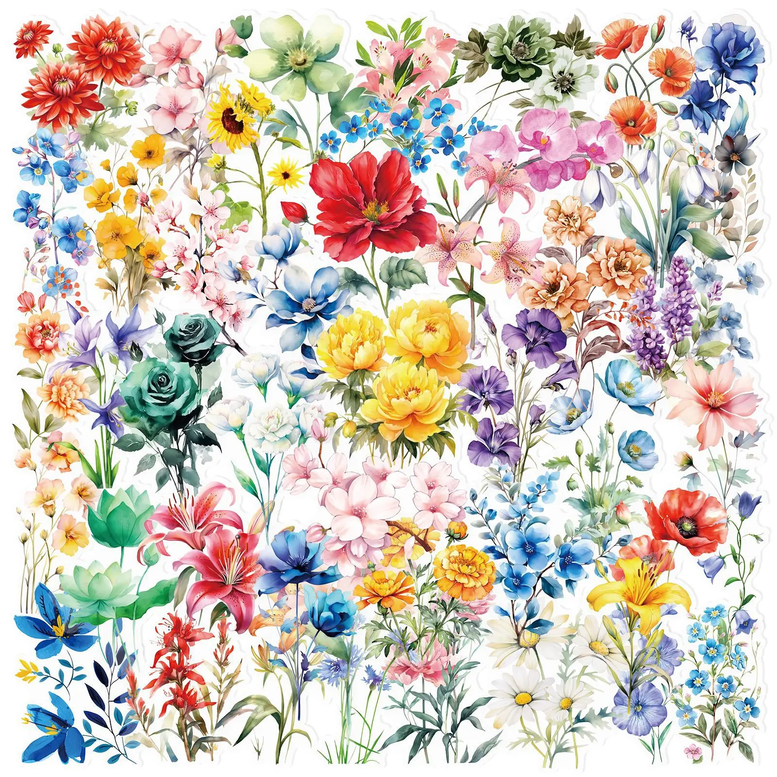 50 Stück transparente Blumen-Serie Doodle-Aufkleber für Handyhülle, Wasserflasche, Tablet, Notebook, Handkonto, PET-Aufkleber