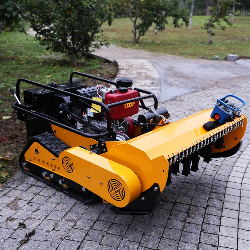 Customized Smart Au… - image