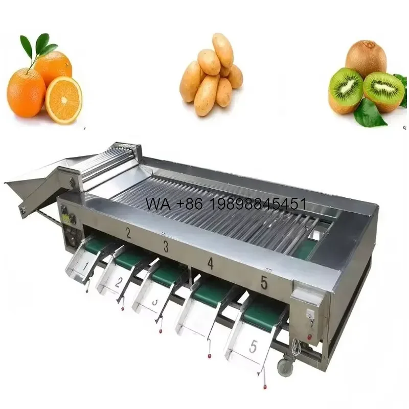 Wmwmnu 5000KG/H Industrial Tomato Grading for Commercial Lemon Orange Potatoes Taro Sweet Potatoes Apples Pears Fruit