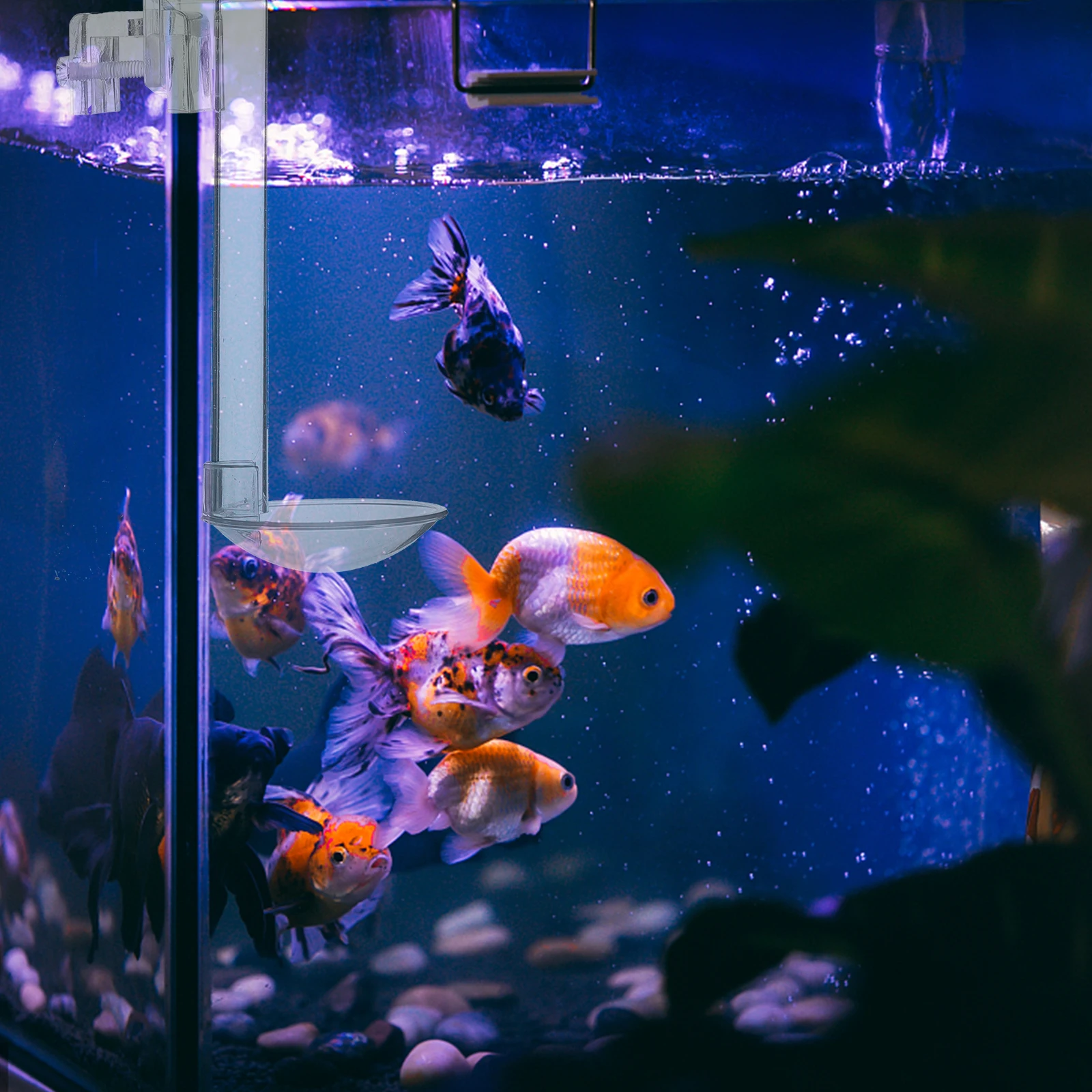 

1Set Fish Tank Feeder Acrylic Shrimp Feeding Dish Tube Transparent Aquarium Hanging Fish Feeder Supplies Sinking Feeding Easy