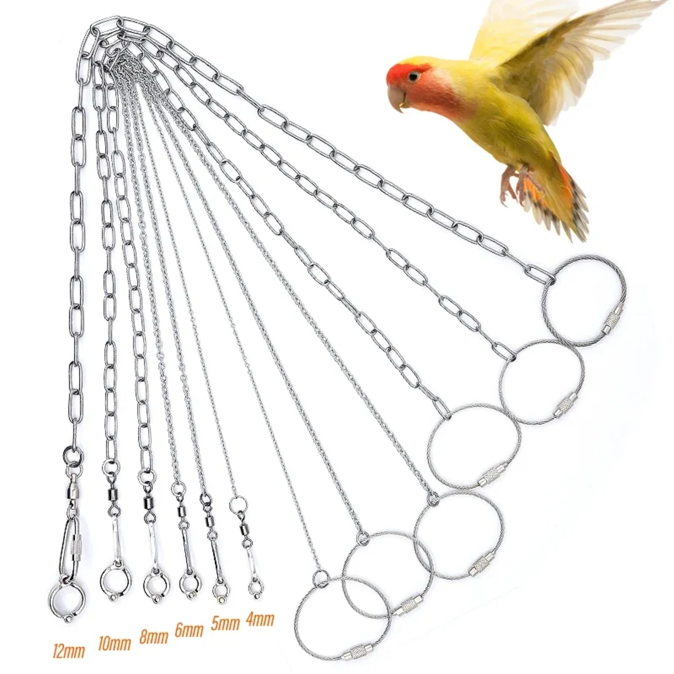 Bird Parrot Foot Chain Stainless Steel Ankle Foot Ring Stand Chain Outdoor Flying Training Starling Pigeon Accessories 앵무새 용품