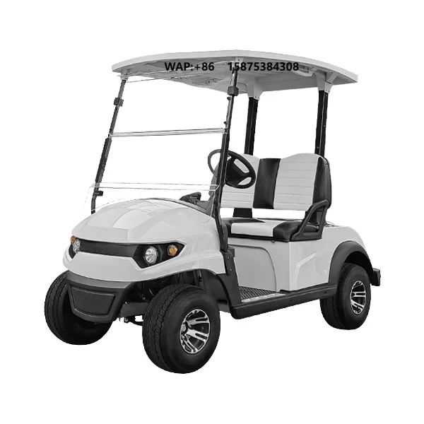 High-quality 2-seat electric sightseeing bus Hotel sightseeing car Campus park Golf cart Made in China