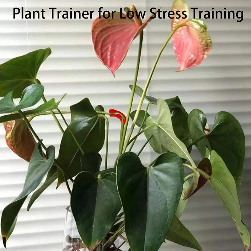 Promotion! 90 Degree Plant Bender, Plant Trainer For Low Stress Training Growth Kit, Control The Way Your Plant Grows