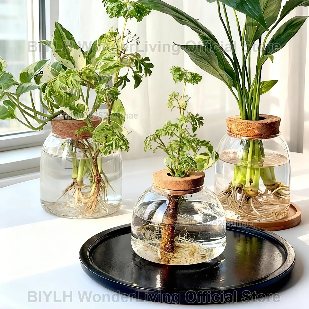 

Transparent Hydroponic Plant Pots Garden Green Plant Cultivation Pot Home Decoration Glass Vase Desktop Decoration Ornaments