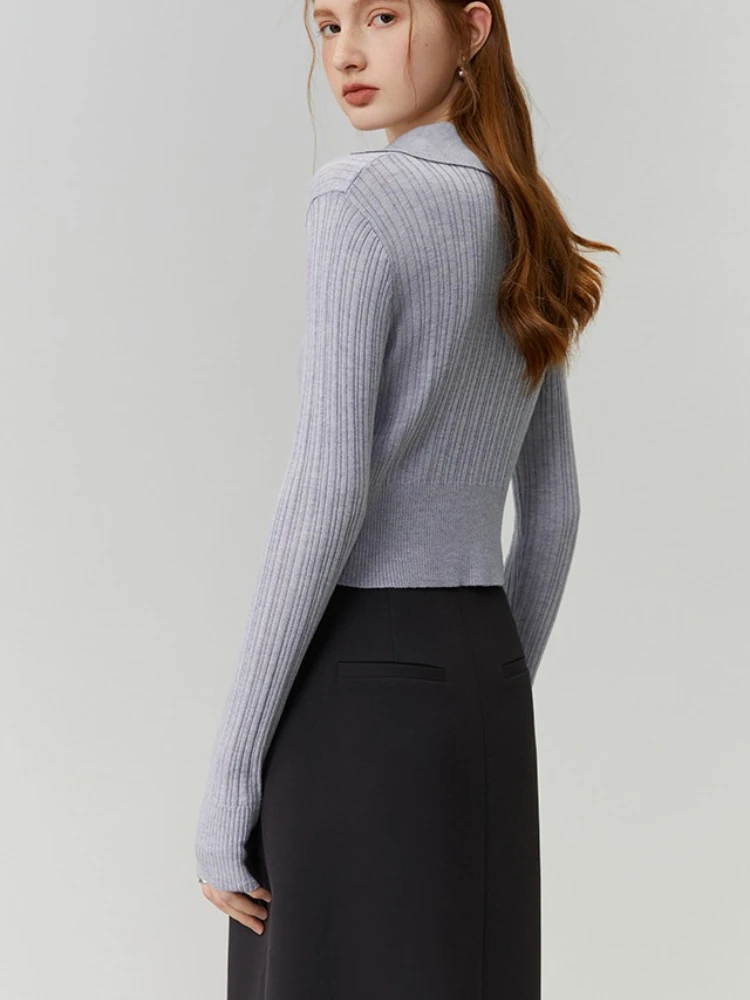 2025 Maglione lavorato a maglia a maniche lunghe per donna Autunno Inverno Donna Colletto polo Pullover Casual Maglioni lavorati a maglia tinta unita Crop Top