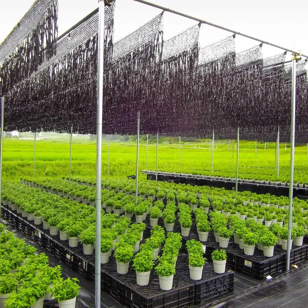 شبكة لمنع ضربات الحرارة باللون البني مقاس 100 سم × 50 مترًا - شبه ظل، مقاومة للهب، تصفية لأشعة الشمس