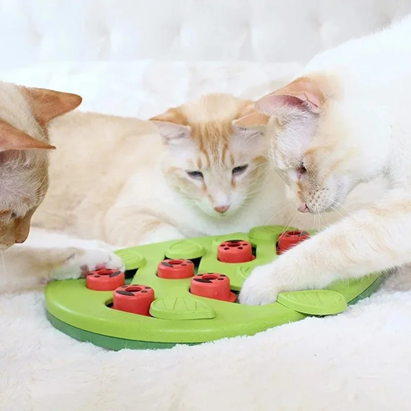 

Rainy Day Puzzle & Play - Interactive Cat Treat Puzzle Cat Toys Leaks Food Cat Scratch Board