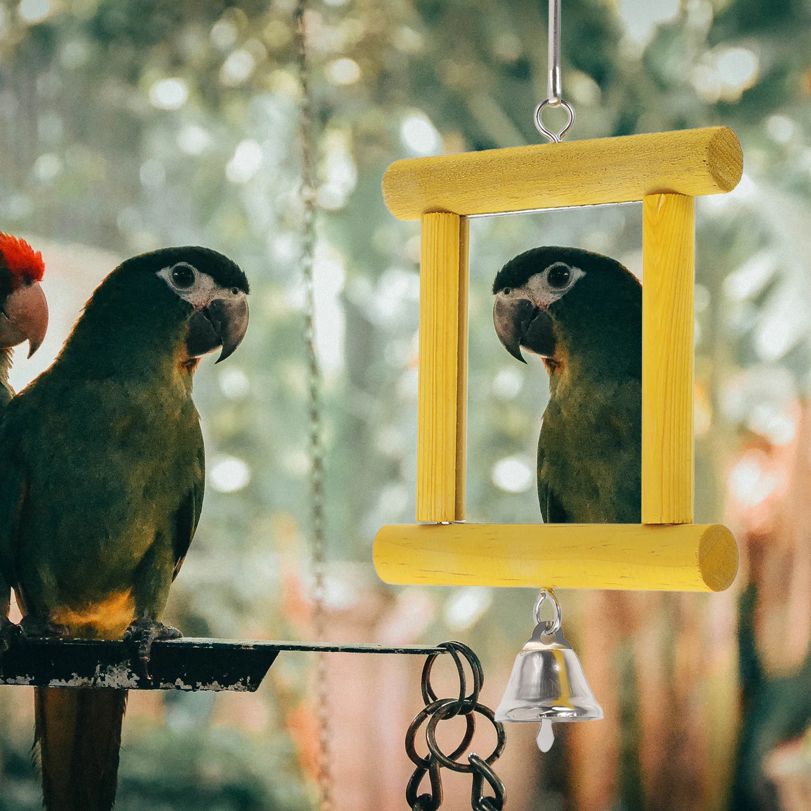 Parrot Mirror Toy Chicken Bird Cockatiels Hanging Wooden Large Birds Cage Small