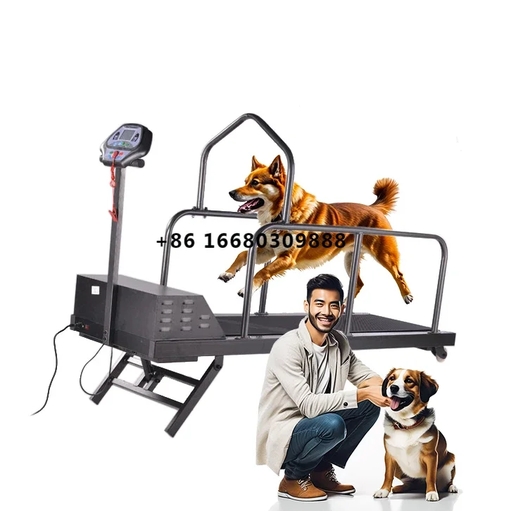 

Animal Incline Electric Treadmill For Dogs, Pet Sport Training Treadmill Dog Treadmill