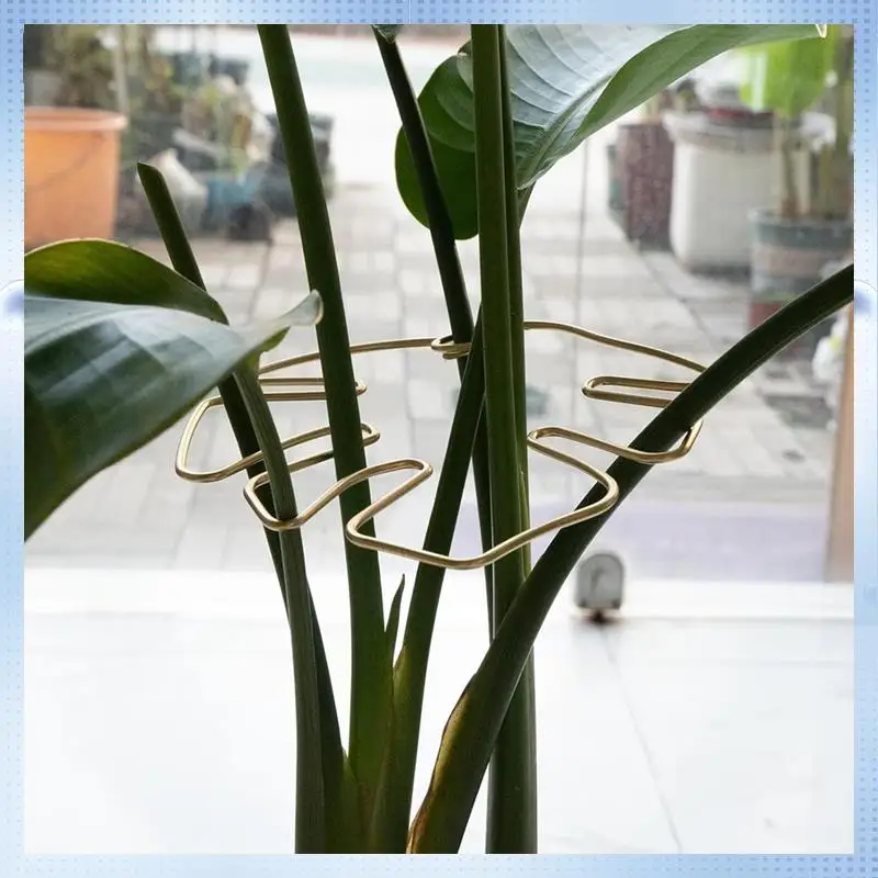 

AD-Monstera Stem Support 5Pcs Plant Support System For Monstera & Turtle Shell Plants-Quality Leaf Clamps