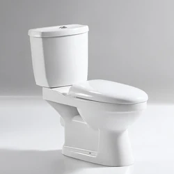 Bathroom Ceramic Floor Mounted Siphon Jet Flushing Inodoro Rimless Elongated One-Piece Toilet Bowl