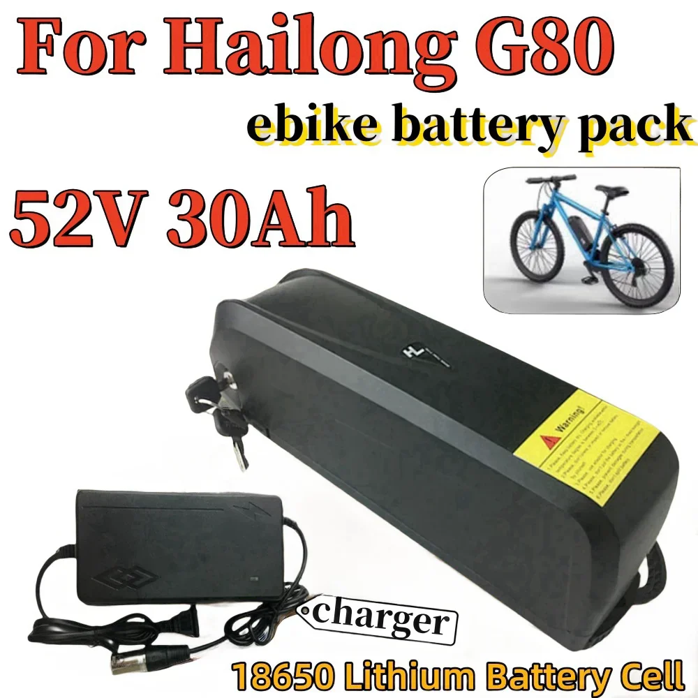 New 52V 30Ah Hailong G80 Lithium ion battery pack with USB port built-in BMS 250W-1000W  power battery pack with charger