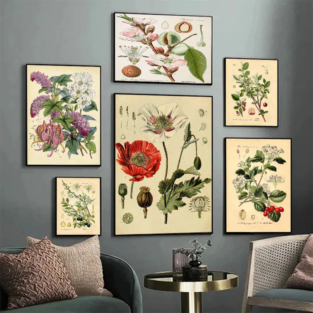 New Botanical Illustration DIY Sticky Poster Vintage Room Bar Cafe Decor Home Decor