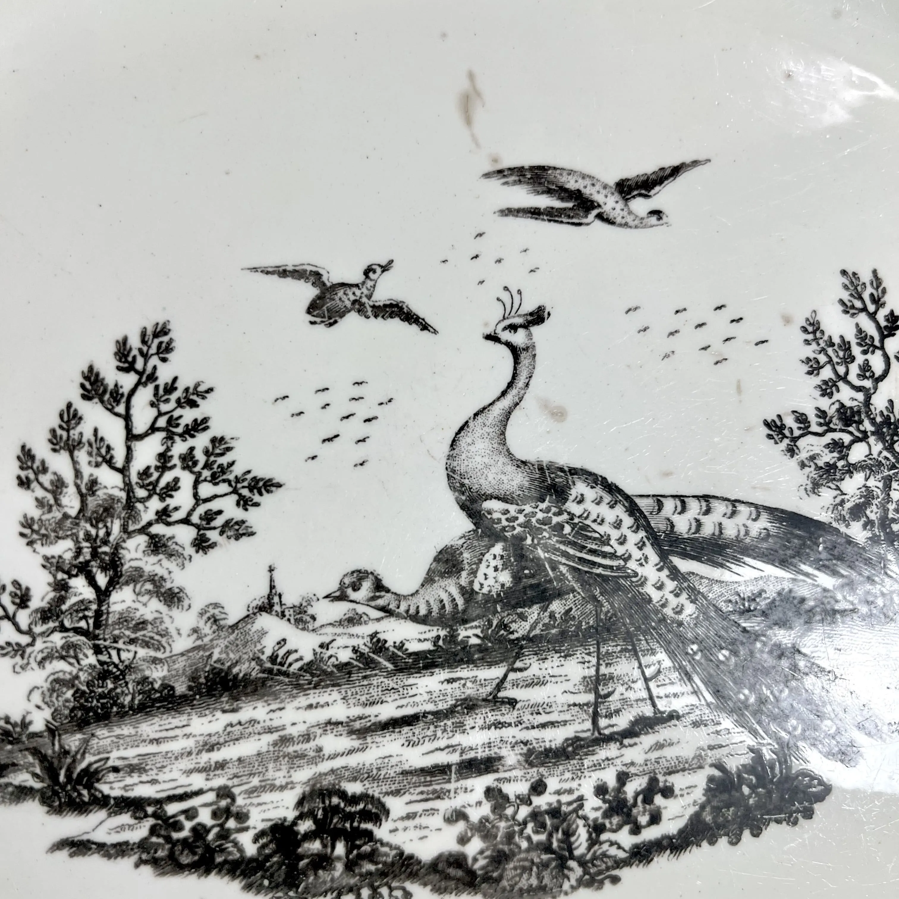 British 18th century large oval disc with feathered edge, peacock figure