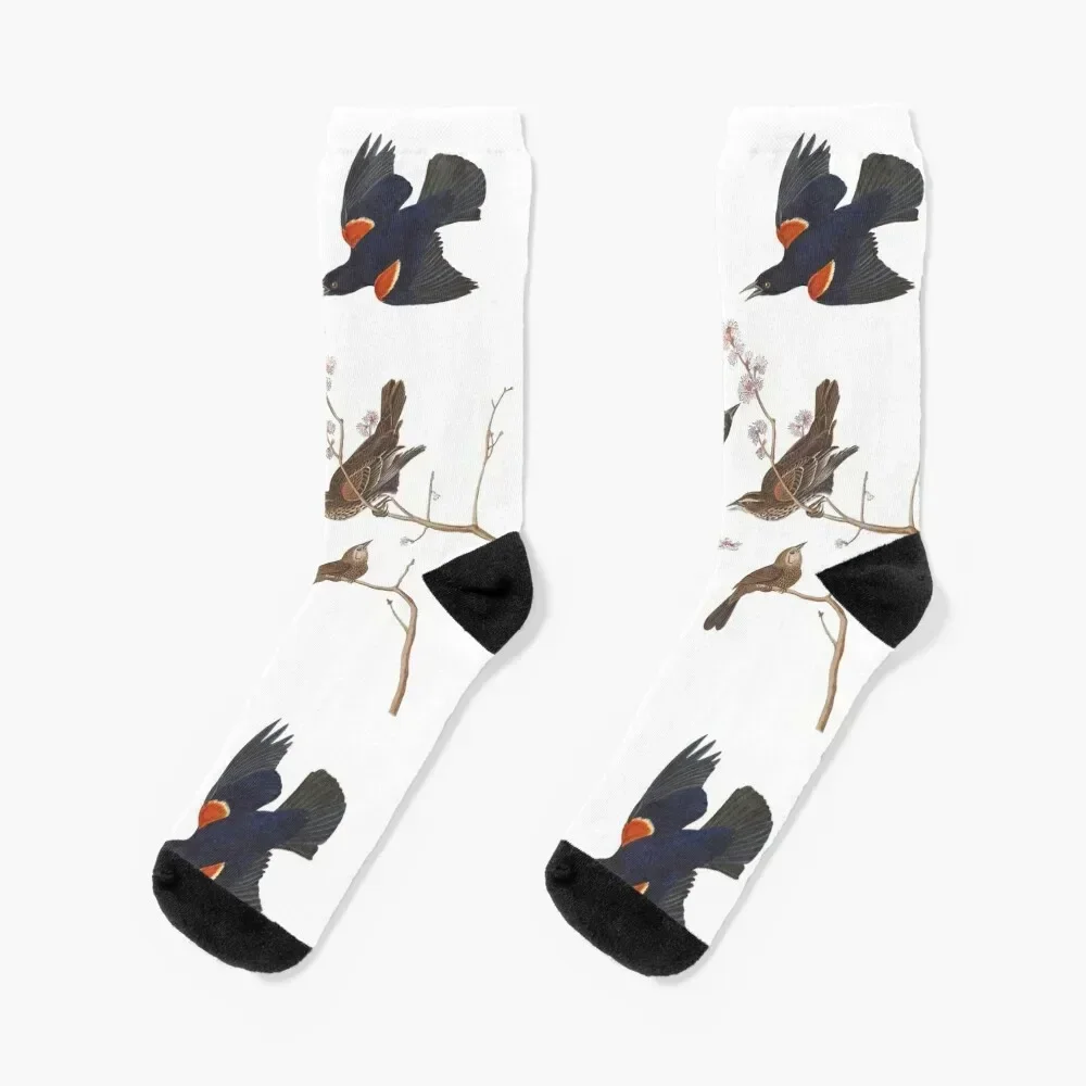 

Red-winged Blackbird / Vintage birds prints and patterns Socks basketball retro sports stockings Men Socks Luxury Brand Women's