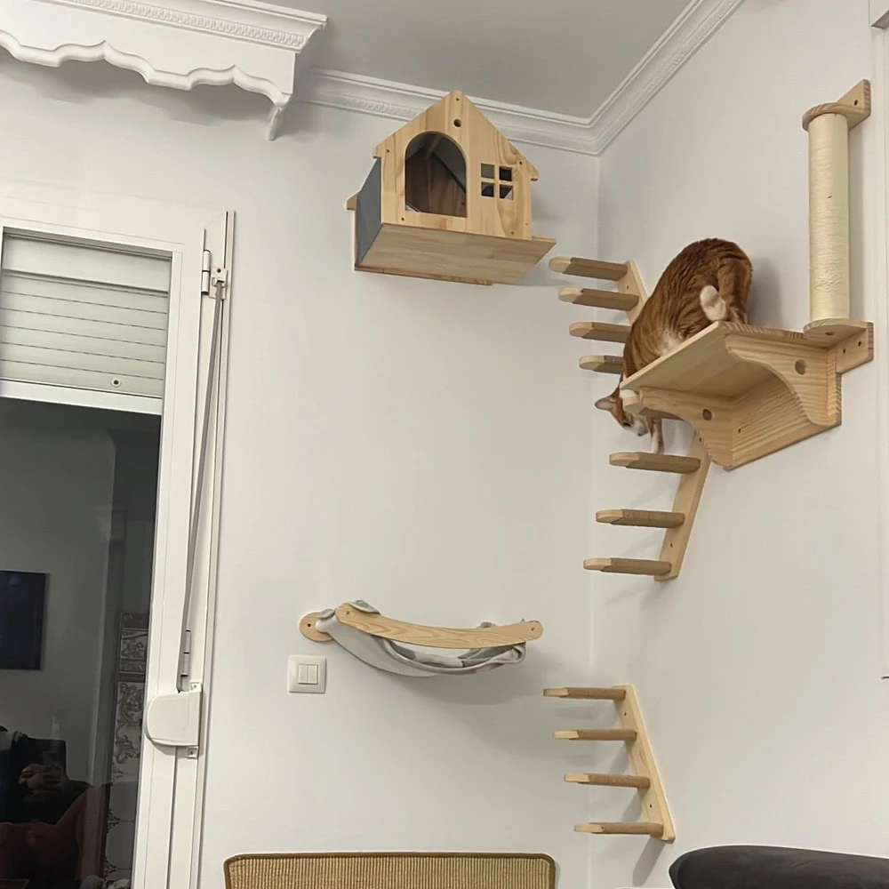 Imagem -05 - Wall Mounted Wooden Cat House Rede para Gatinho Living Platform Escada para Saltar Escalada Mobiliário de Interior