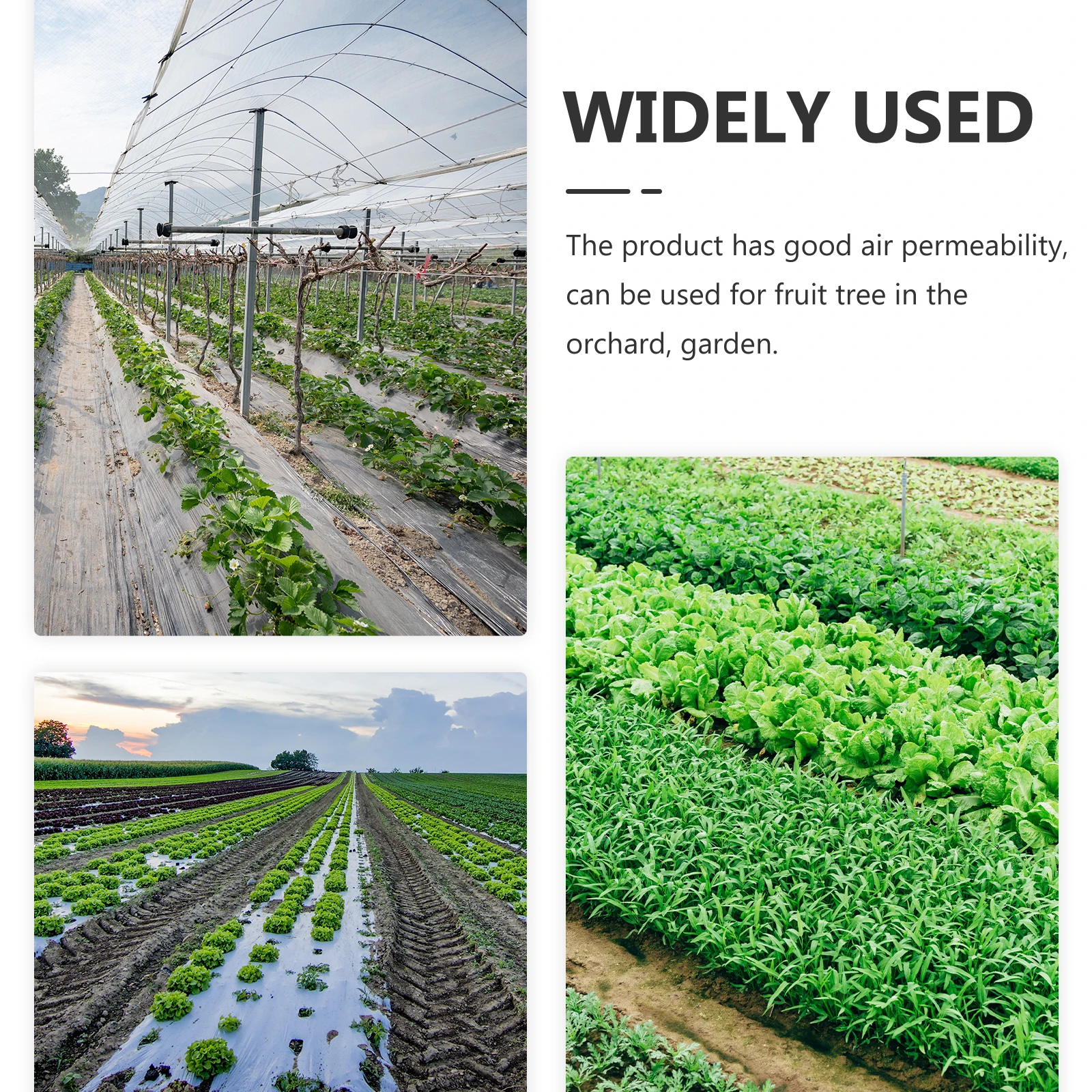 

Plastic Fabric Durable Garden Ground Cover Simple Useful Long Service Life Excellent Performance Fruit Tree chard